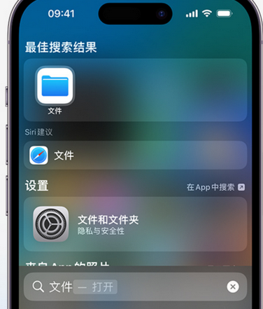 清苑apple维修中心分享iPhone文件应用中存储和找到下载文件