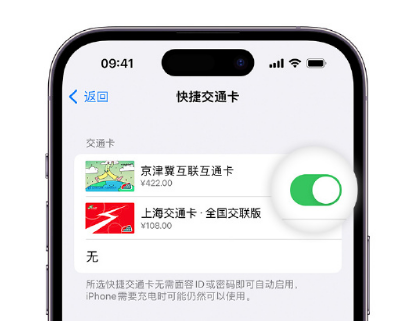 清苑apple维修点分享iPhone上更换Apple Pay快捷交通卡手绘卡面 