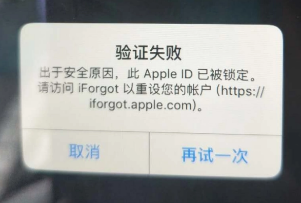 清苑iPhone维修分享iPhone上正常登录或使用AppleID怎么办 