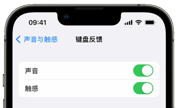 清苑苹果手机维修分享iPhone 14触感键盘使用方法 