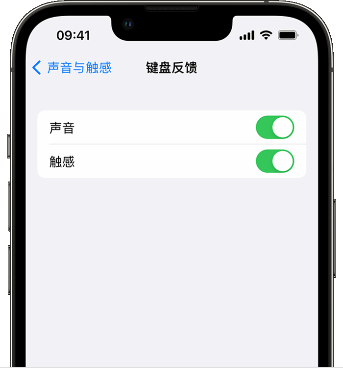 清苑苹果14维修店分享如何在 iPhone 14 机型中使用触感键盘 