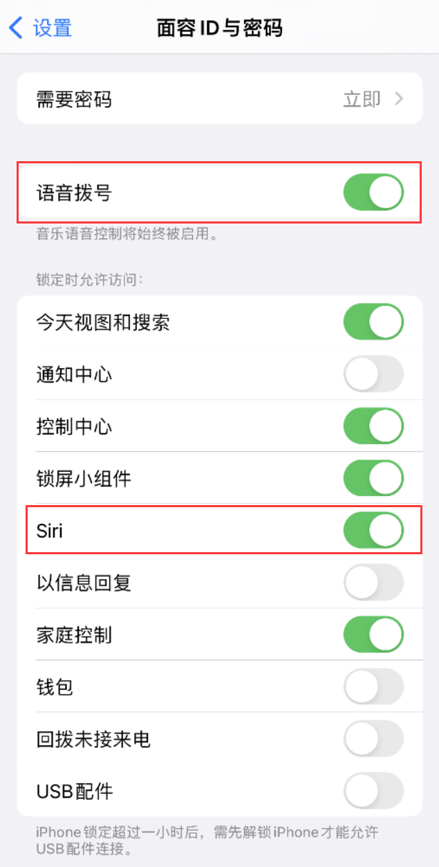 清苑苹果维修网点分享不解锁 iPhone 的情况下通过 Siri 拨打电话的方法 