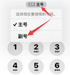 清苑苹果14维修店分享iPhone 14 Pro Max使用副卡打电话的方法 