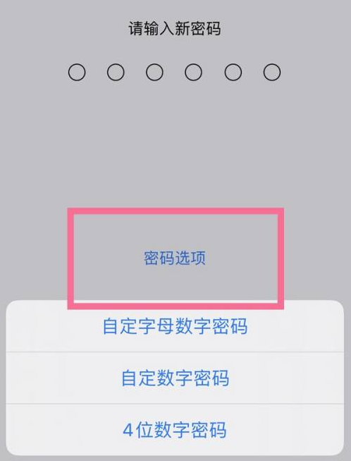 清苑苹果14维修分享iPhone 14plus设置密码的方法 