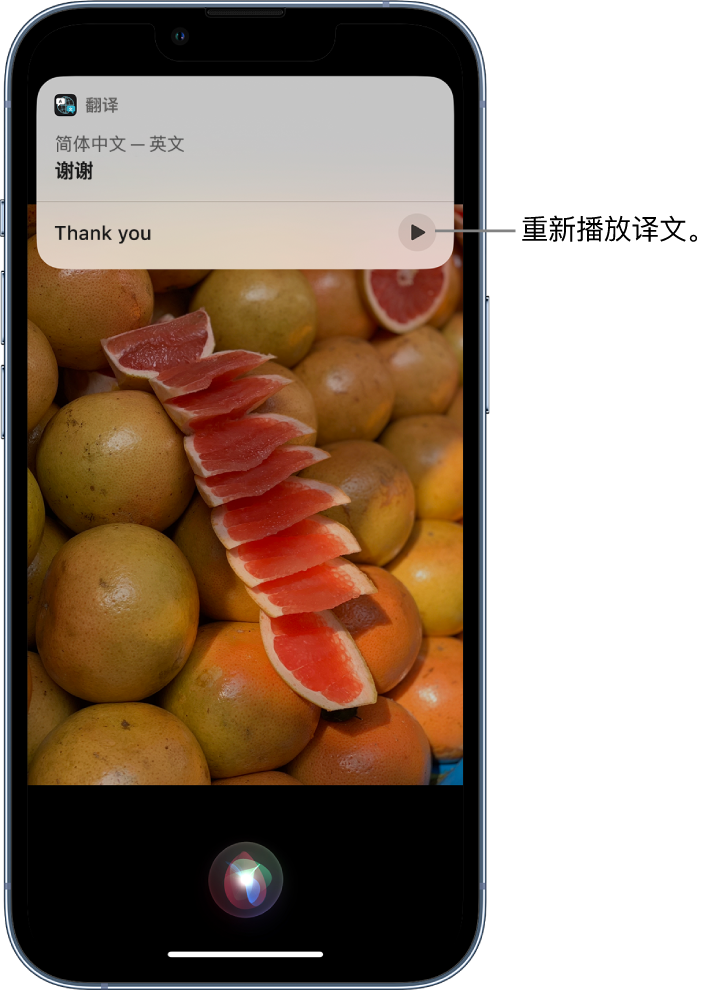 清苑苹果14维修分享 iPhone 14 机型中使用 Siri：了解 Siri 能帮你做什么 