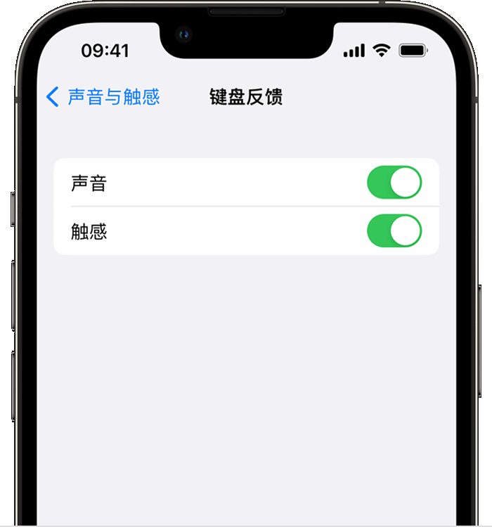 清苑苹果14维修分享iPhone 14 系列机型如何开启键盘声音或触感反馈 