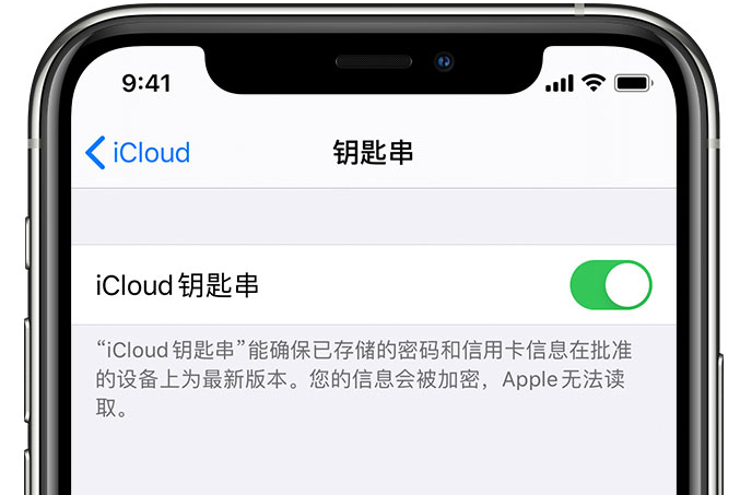 清苑苹果手机维修分享在 iPhone 上开启 iCloud 钥匙串之后会储存哪些信息 