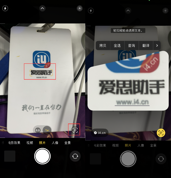 清苑苹果手机维修分享升级iOS 16后如何通过相机翻译文本 