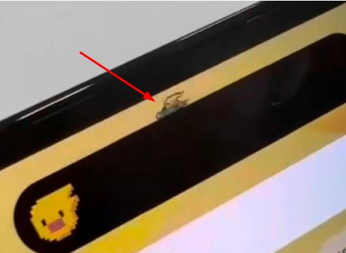 清苑苹果14维修分享iPhone 14 Pro Max灵动岛怎么养宠物 