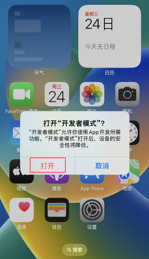 清苑苹果手机维修分享如何打开开发者模式 