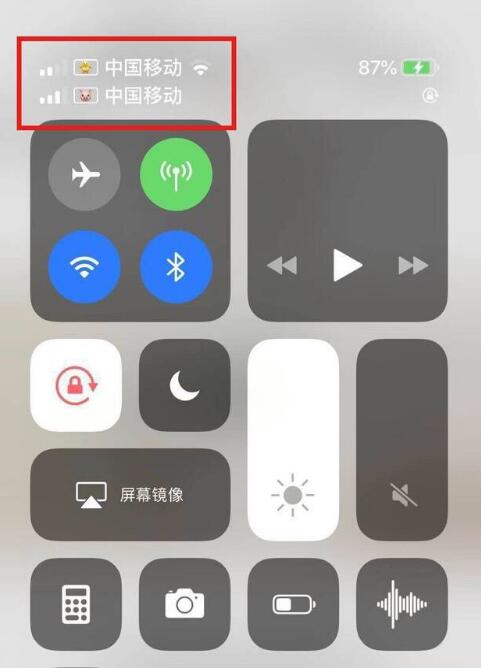 清苑苹果手机维修分享为 iPhone 12 双卡设置标签 