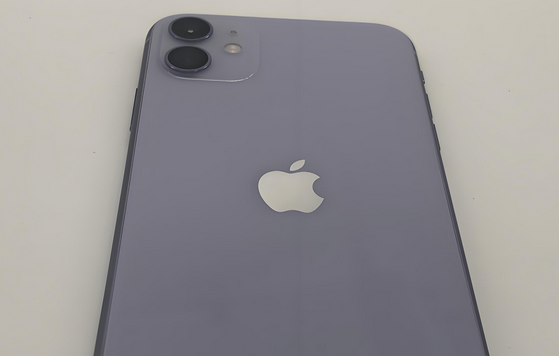 清苑苹果11系统维修分享iPhone11手机系统崩溃无法开机如何解决
